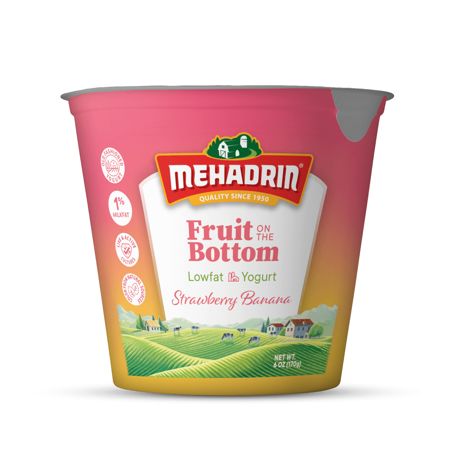 その他 Malon strawberry yogurt Strawberry Banana w/ Fruit on Bottom Yogurt, 6 Oz. - Mehadrin Dairy